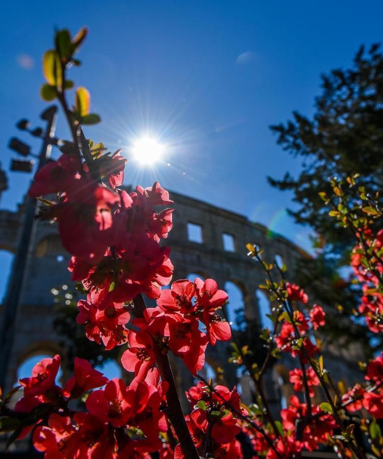 Villa Ulika - 3 Apt For 4 Persons プーラ エクステリア 写真