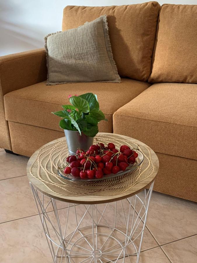 Villa Ulika - 3 Apt For 4 Persons プーラ エクステリア 写真